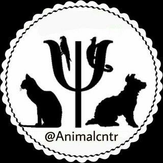 Telegram profile photo for فروشگاه حیوانات