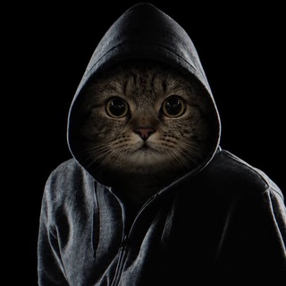 Telegram profile photo for приколмы и новости prdx.so
