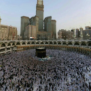 Telegram profile photo for زاد القلوب
