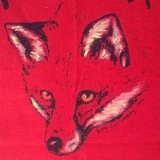 Telegram profile photo for ∏џѳʜєⱀҁκѧᴙ κѳʍѧ