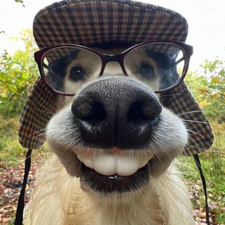 Telegram profile photo for Profitierr