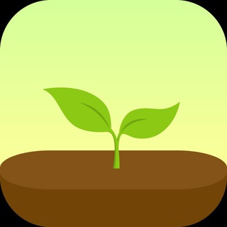 Telegram profile photo for Forest App Study 🌲❤️ Group