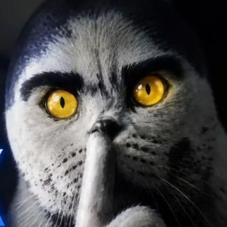 Telegram profile photo for Архивировано