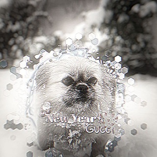 Telegram profile photo for Хвост Алабая☠️🎄