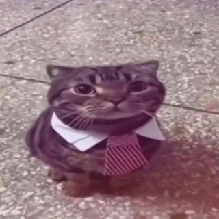 Telegram profile photo for blitz vouches
