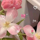 Telegram profile photo for Наличие tulip shop🌷🌷🌷