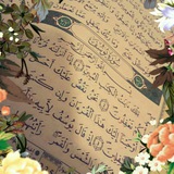 Telegram profile photo for عبراتي