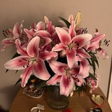 Telegram profile photo for lilies.