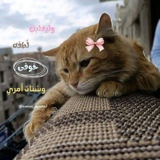 Telegram profile photo for لـ إيـ𓂆ـلوࢪا