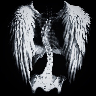 Telegram profile photo for graves of missdeath