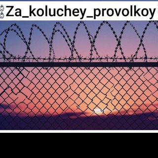 Telegram profile photo for ⛓Za_koluchey_provolkoy⛓