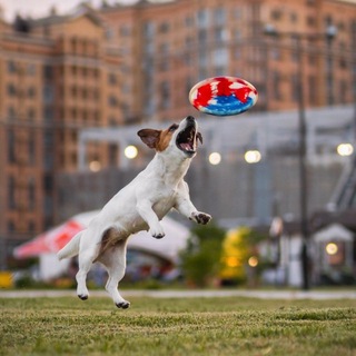 Telegram profile photo for будни проблемной 💋