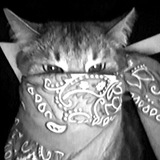 Telegram profile photo for π¦ππ π’π¬ππ πππ.