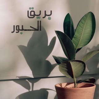 Telegram profile photo for بَرِيقُ الحُبور