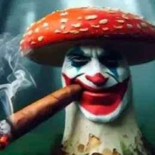 Telegram profile photo for масон ректолоджи