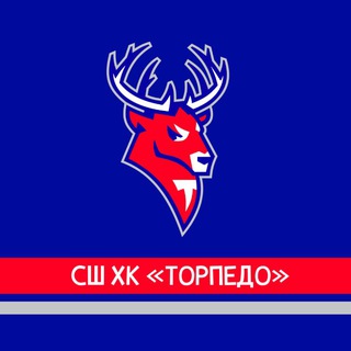 Telegram profile photo for СШ «Торпедо»