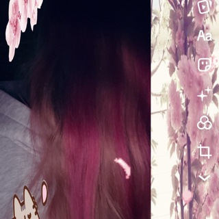 Telegram profile photo for κᥴᥲнᥱκᥴ🇺🇸