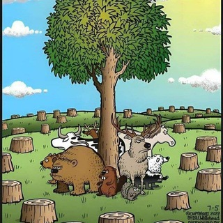 Telegram profile photo for Für die Natur und für das Leben