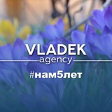 Telegram profile photo for Svetlana Vladek “Vladek Agency”