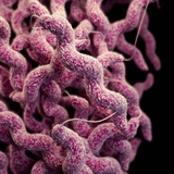 Telegram profile photo for Antibiotics