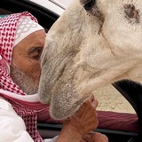 Telegram profile photo for تُوجَد