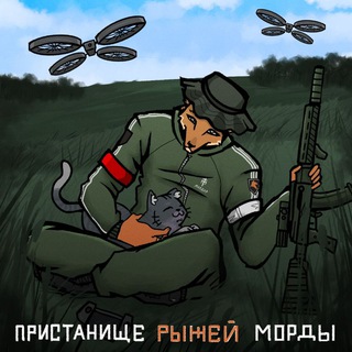 Telegram profile photo for Пристанище Рыжей Морды