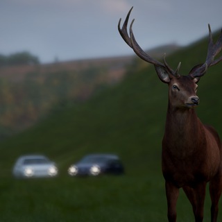 Telegram profile photo for r/ForzaHorizon4