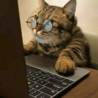 Telegram profile photo for BIOLOGIYA TEST