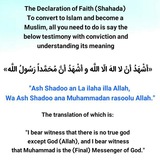 Telegram profile photo for Join the religion of Islam ❤️