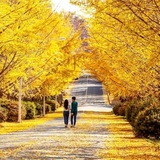 Telegram profile photo for Nature
