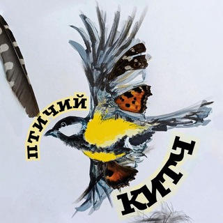 Telegram profile photo for птичий китч