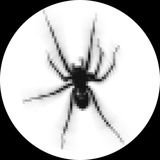 Telegram profile photo for -xareq- | StandKnife | -777-