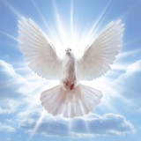 Telegram profile photo for #مرافئ_الروابي ❤️🕊🙏🏻