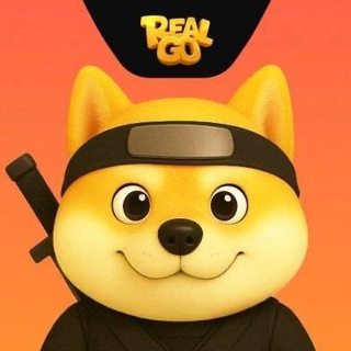 Telegram profile photo for RealGo Official Chat