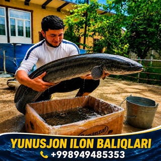 Telegram profile photo for BALIQ BOQISH (ILONBOSH. LAQQA....)