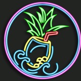 Telegram profile photo for $PINA AI Portal