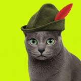 Telegram profile photo for koratrh