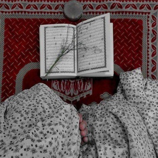Telegram profile photo for طُمَأْنِينَةُ🤍