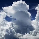 Telegram profile photo for Skys crypto calls