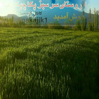 Telegram profile photo for پکاجیک-خوی