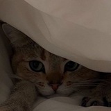 Telegram profile photo for فعاليات طب الاسنان / جامعة الحله