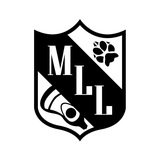 Telegram profile photo for Медиа Лига Лакросса