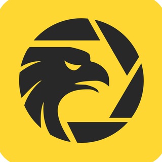 Telegram profile photo for WikiFX 外汇天眼官方频道 (中文)