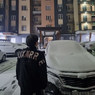 Telegram profile photo for шох