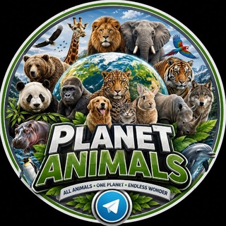 Telegram profile photo for Planet Animals