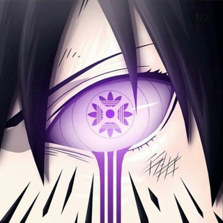 Telegram profile photo for Сетка Zooooooom’S
