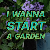 Telegram profile photo for I WANNA START A GARDEN