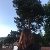 Telegram profile photo for solo time |отзывы