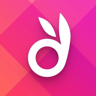 Telegram profile photo for dealbunny.de