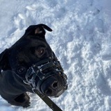Telegram profile photo for Ронн